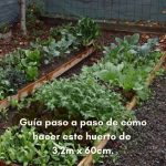 Guía paso a paso de cómo hacer un huerto de  3,2m x 60cm