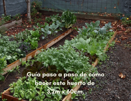 Guía paso a paso de cómo hacer un huerto de  3,2m x 60cm