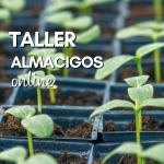 Taller de Almácigos online